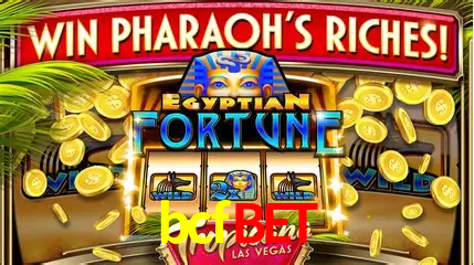Live Casino bcfbet